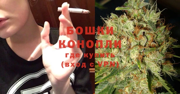 молекула духа Аркадак