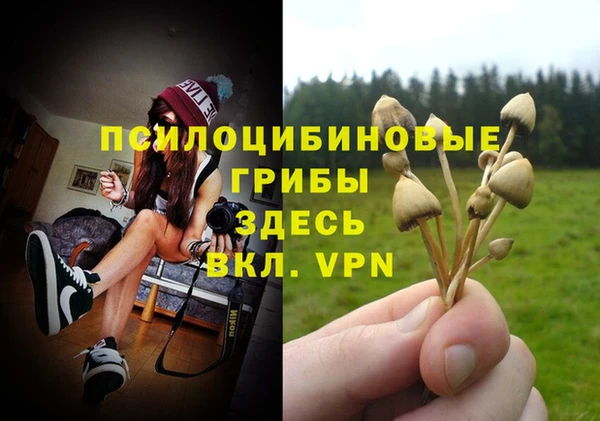 молекула духа Аркадак
