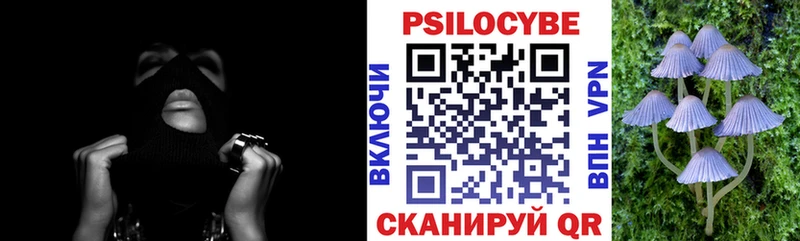 продажа наркотиков  Салаир  Галлюциногенные грибы Psilocybine cubensis 